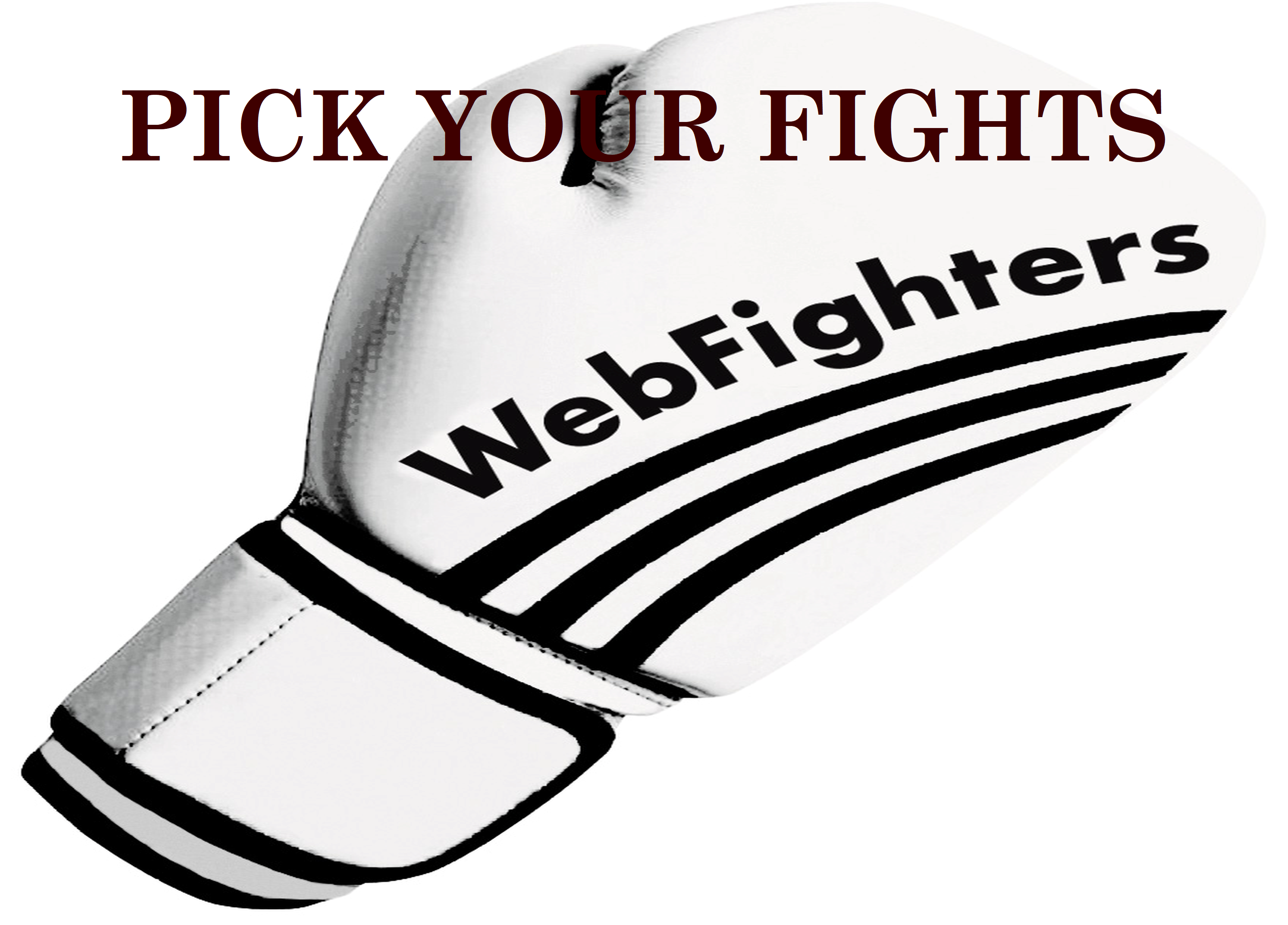 WebFighters-diorganotes